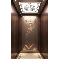 Thang máy gia đình Mitsubishi 450kg