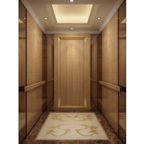 Thang máy gia đình Mitsubishi 750kg