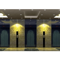 thang máy tải khách nhập khẩu