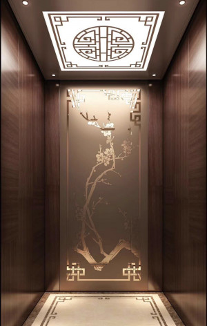 Thang máy gia đình Mitsubishi 450kg