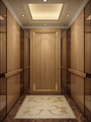 Thang máy gia đình Mitsubishi 750kg