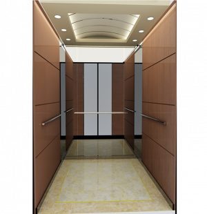 Thang máy gia đình Fuji 450kg