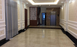 thang máy tải khách 350kg